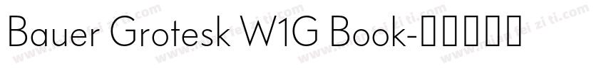 Bauer Grotesk W1G Book字体转换